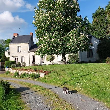 Chambres d'Hôtes de l'Ile du Saule Saumur Exterior foto