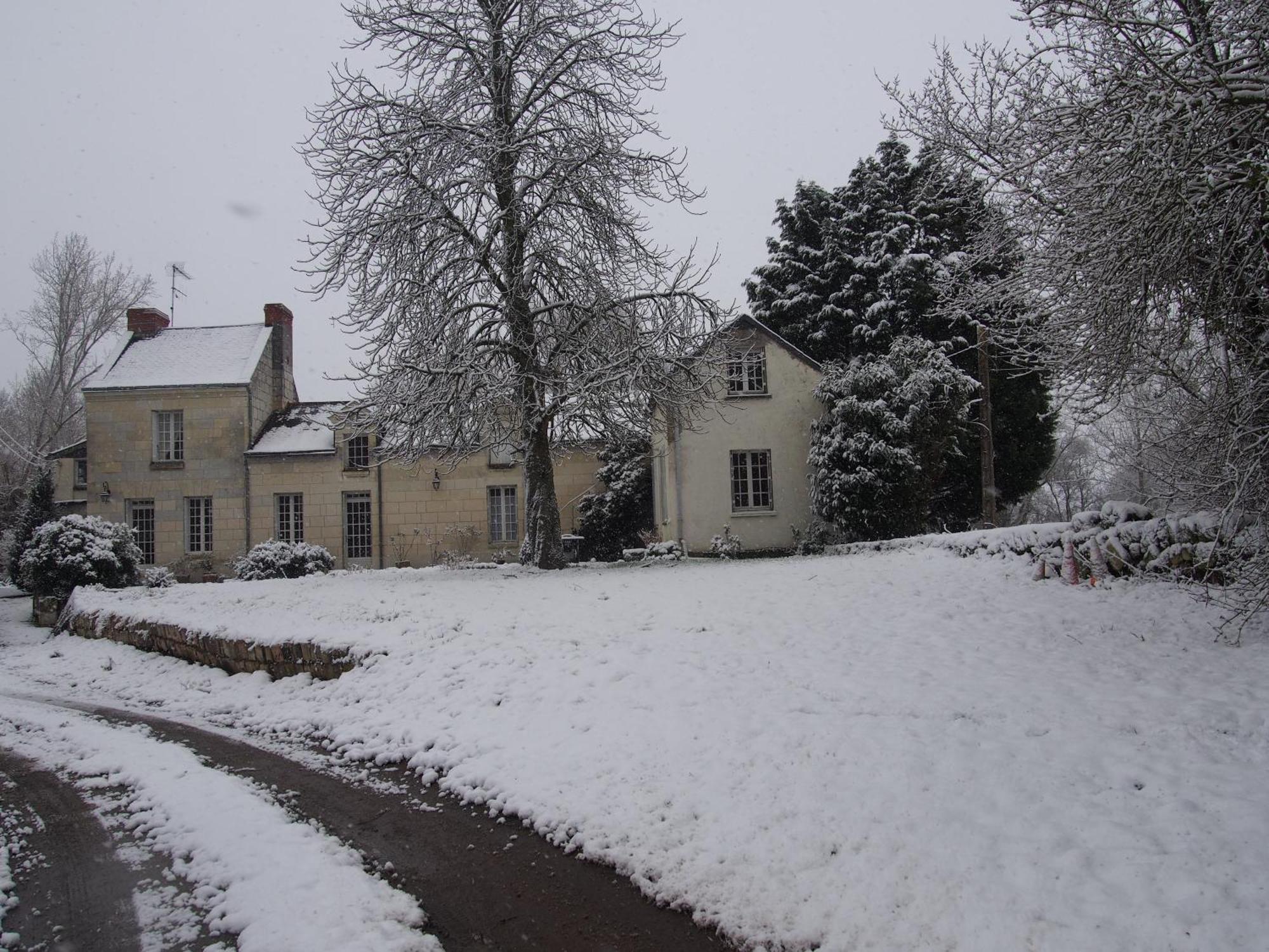 Chambres d'Hôtes de l'Ile du Saule Saumur Exterior foto